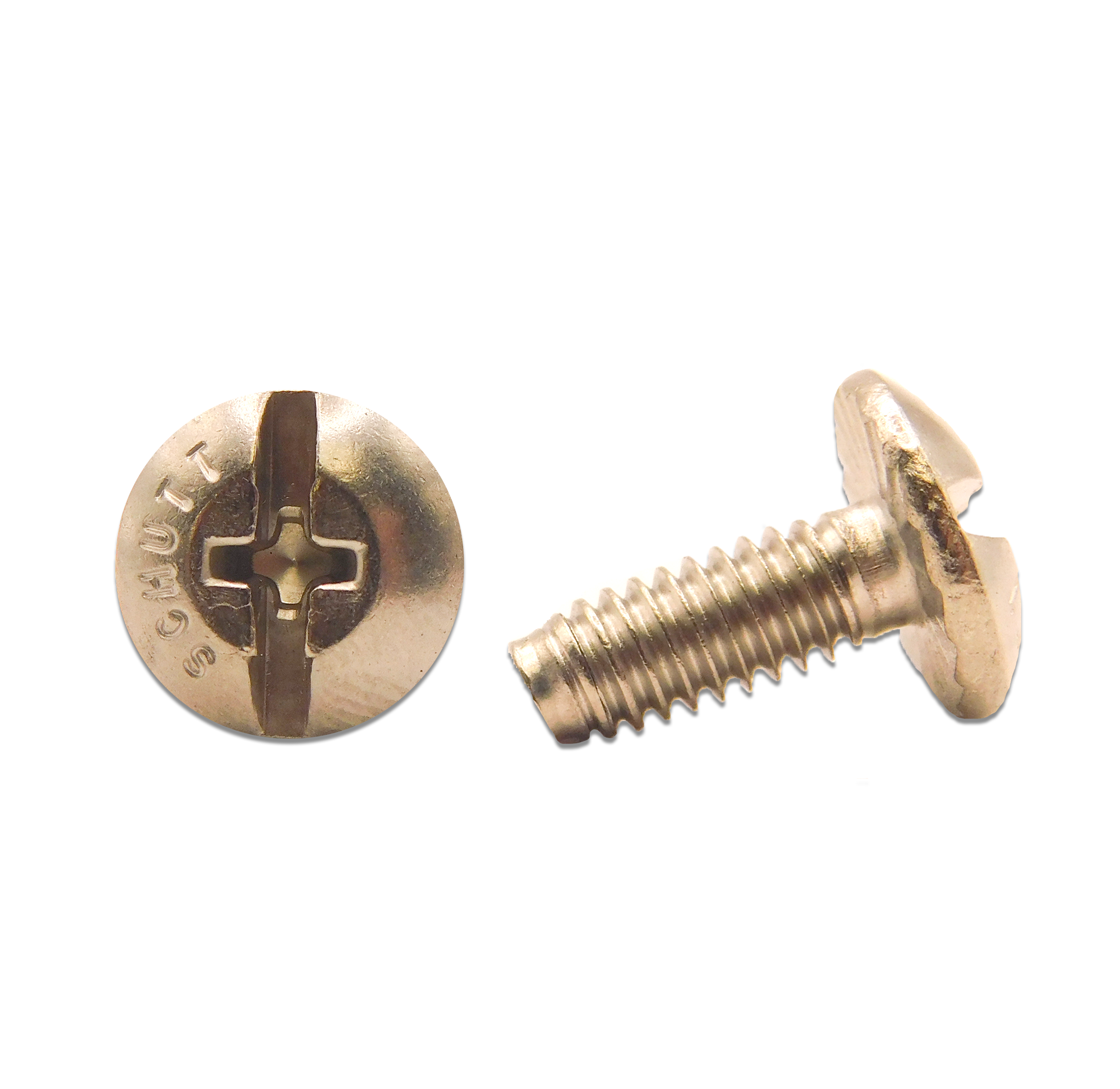 Stainless Steel Screws