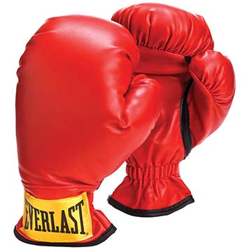 Everlast Youth Boxing Gloves - Age 12