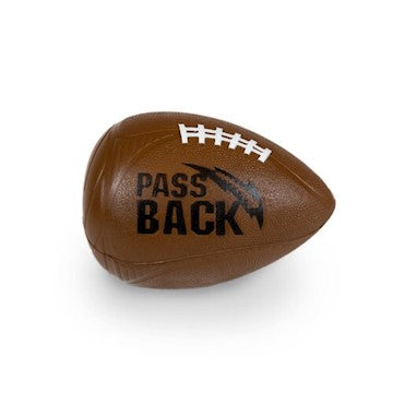 PassBack foam training football