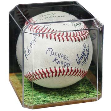 Baseball Display Case